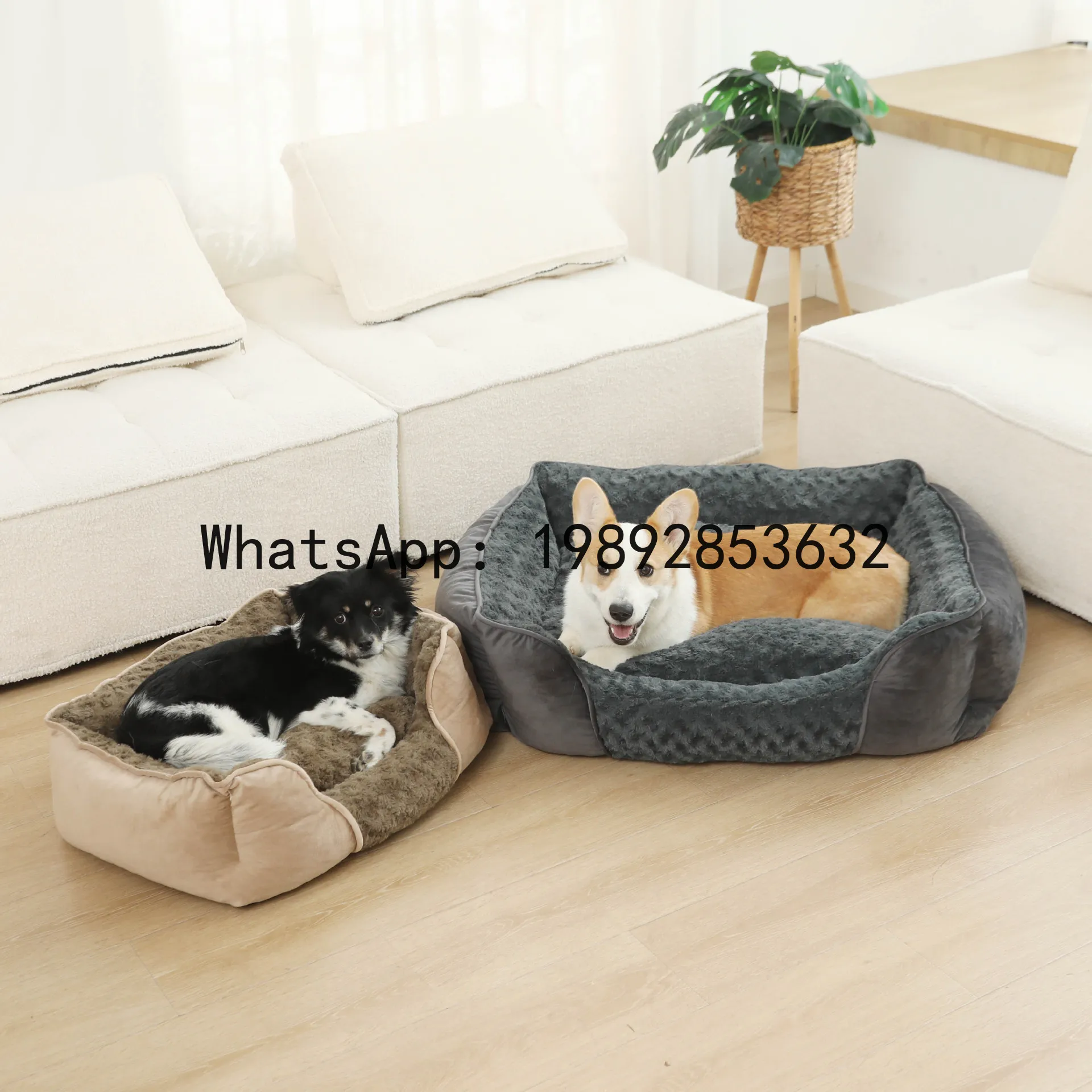 Pet X Supplies & Tack Howell - บ้านแมว X cat house แบบกึ่งปิด สำหรับสุนัข