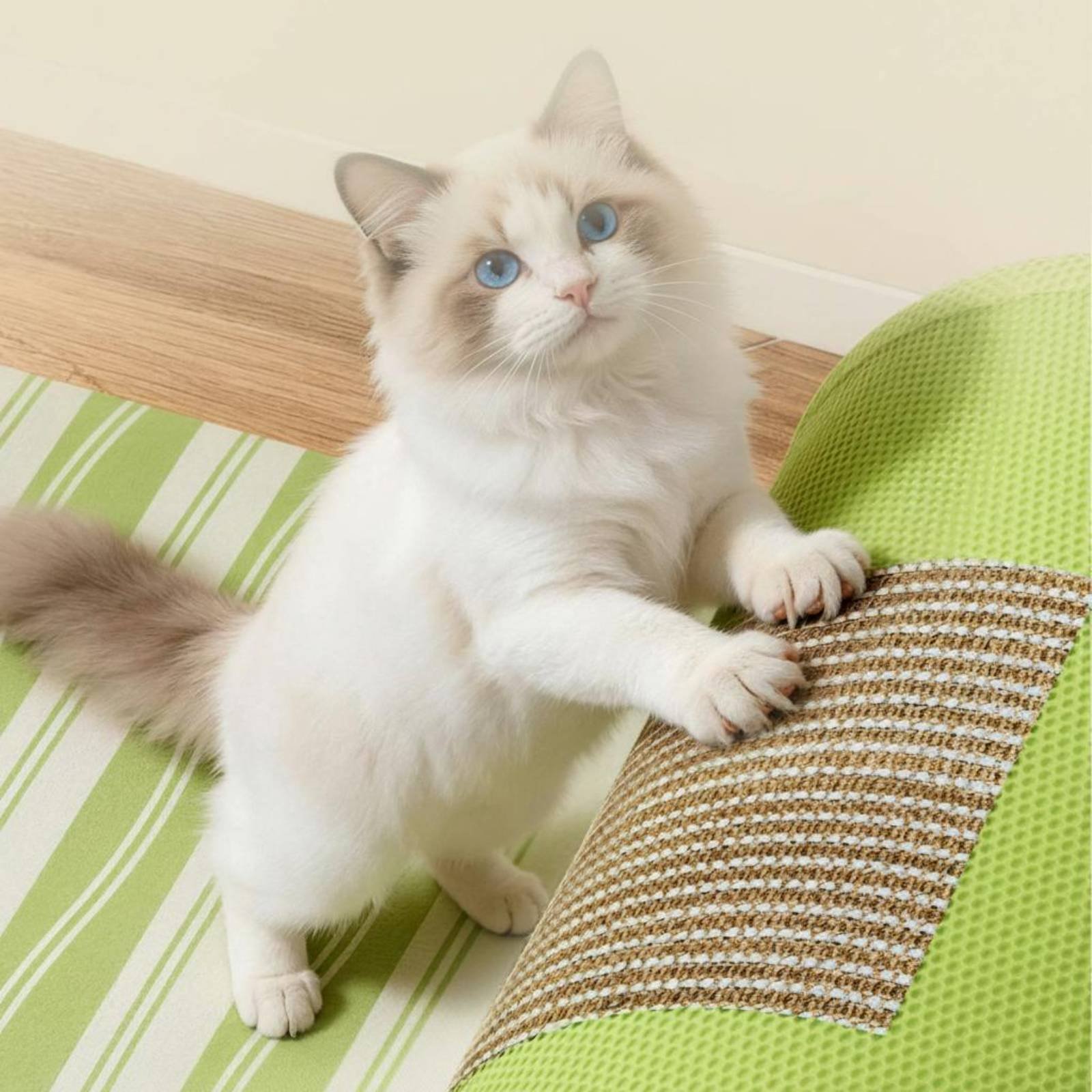 Cat Tunnel Toy - อุโมงค์ข่วนเล็บแมวพร้อมของเล่นห้อย ของเล่นอุโมงค์แมว ที่นอนแมว อุปกรณ์สำหรับสัตว์เลี้ยงสำหรับใช้ในบ้าน