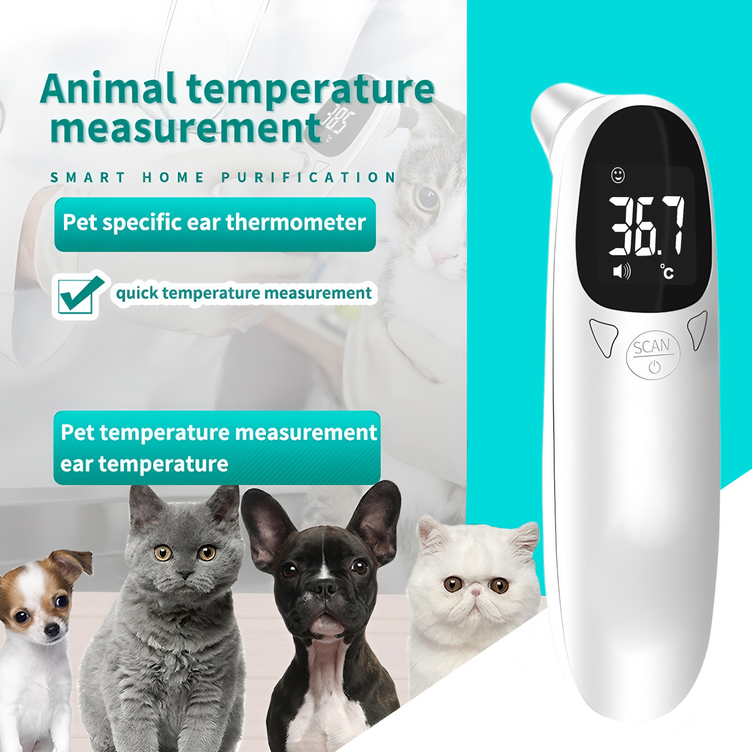 เครื่องวัดอุณหภูมิหูสัตว์เลี้ย - Pet Supplies Warehouse บทวิจารณ์และราคา