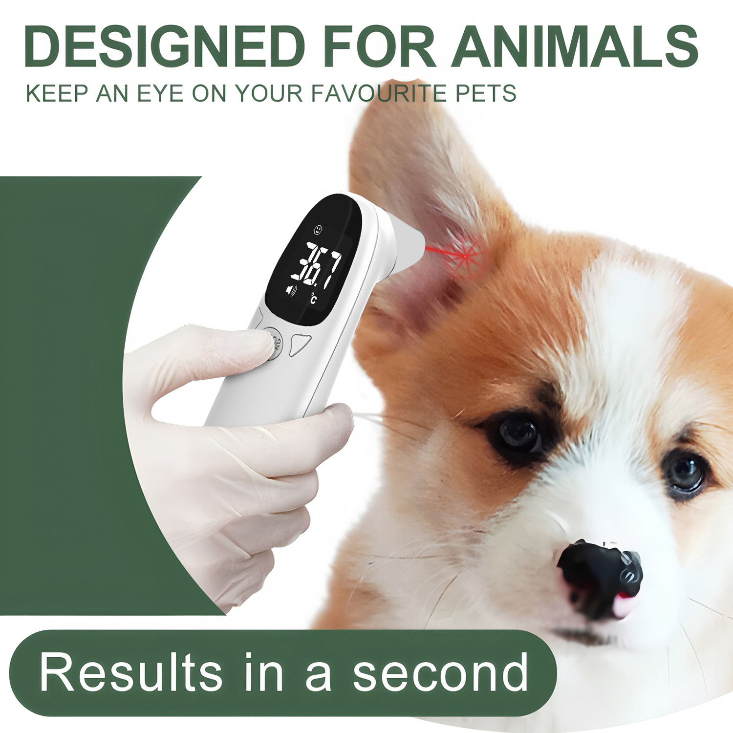 เครื่องวัดอุณหภูมิหูสัตว์เลี้ย - Pet Supplies Warehouse บทวิจารณ์และราคา