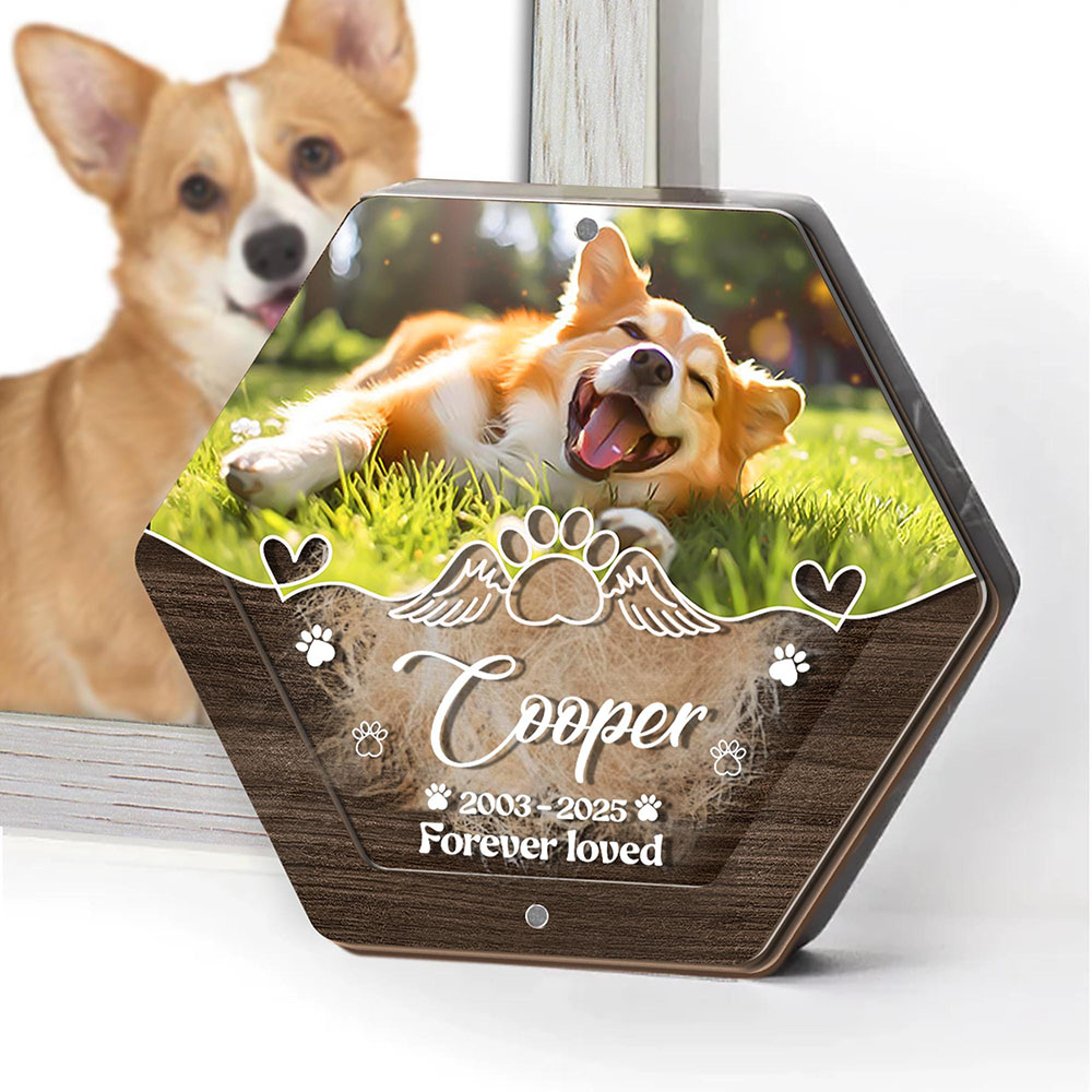 ส่วนบุคคลชื่อไม้แกะสลักสัตว์เล - Pet Supplies Warehouse บทวิจารณ์และราคา