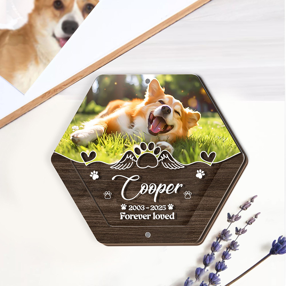 ส่วนบุคคลชื่อไม้แกะสลักสัตว์เล - Pet Supplies Warehouse บทวิจารณ์และราคา