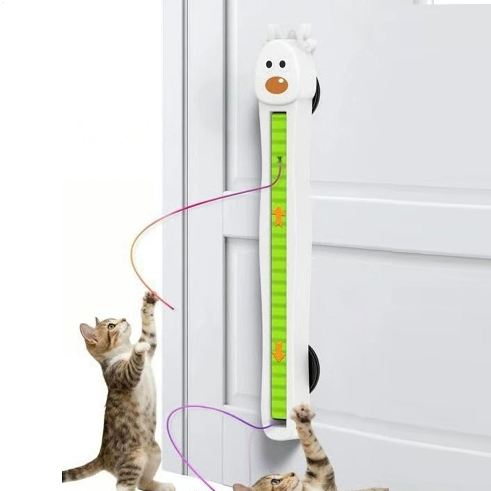 ของเล่นแมวอิเล็กทรอนิกส์แบบติด - Cat Tunnel Toy บทวิจารณ์และราคา