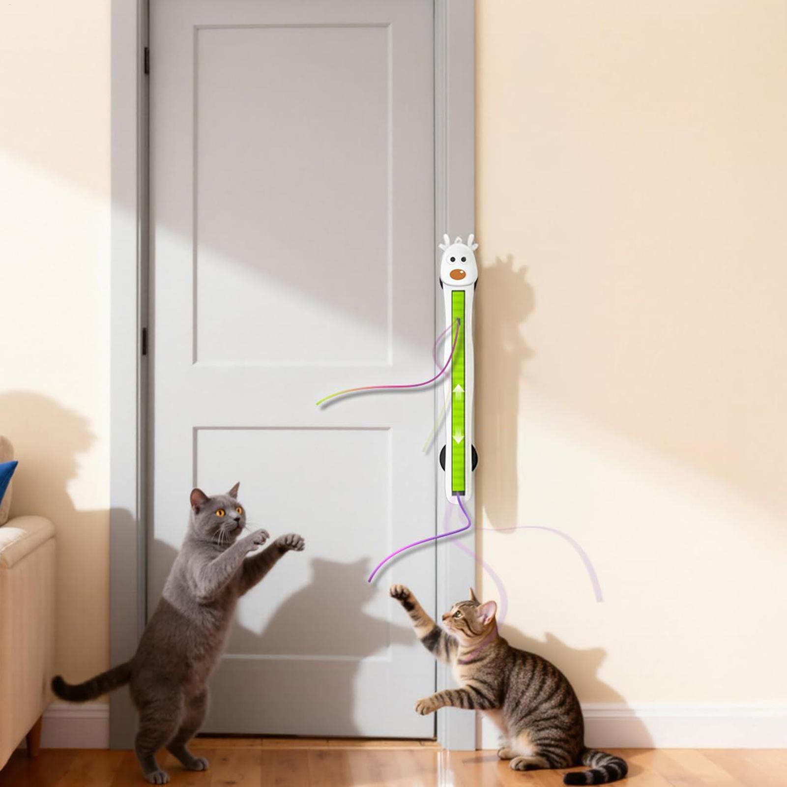 ของเล่นแมวอิเล็กทรอนิกส์แบบติด - Cat Tunnel Toy บทวิจารณ์และราคา