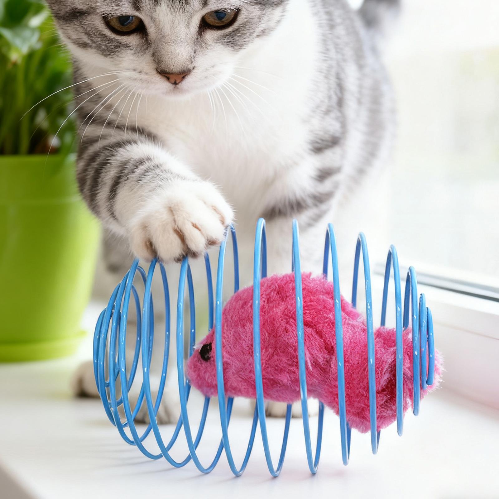 ของเล่นแมวรูปเกลียว สปริงยืดหย - Cat Tunnel Toy บทวิจารณ์และราคา