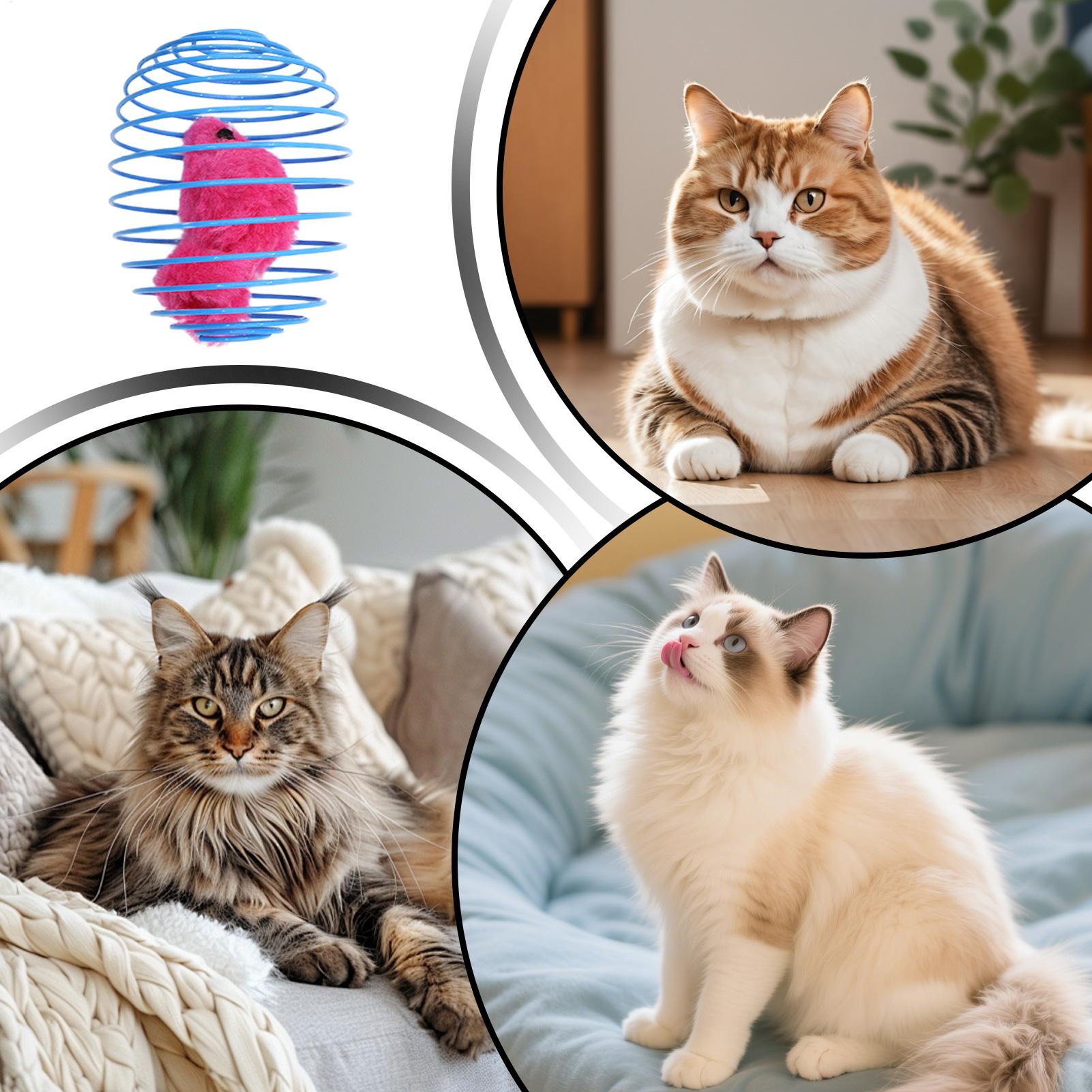 ของเล่นแมวรูปเกลียว สปริงยืดหย - Cat Tunnel Toy บทวิจารณ์และราคา