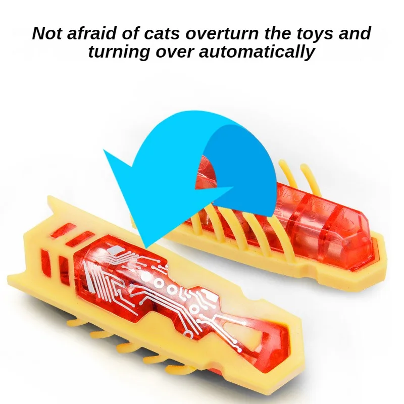 แมลงไฟฟ้าแสนตลกของเล่นล่อเหยื่ - Cat Tunnel Toy บทวิจารณ์และราคา